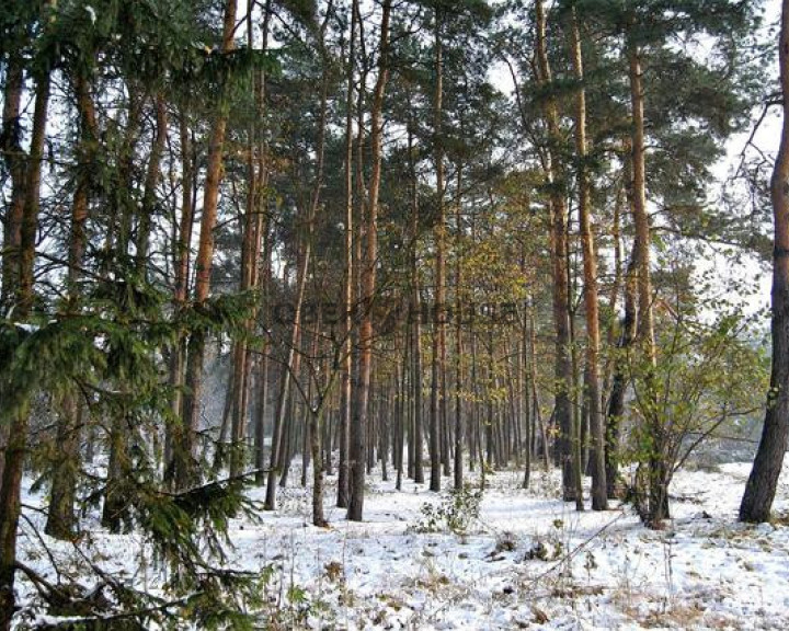 Działka Sprzedaż Józefów